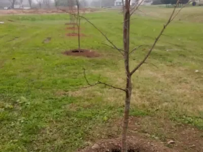 Screenshot_2025-12-10-14-06-08-913_com.whatsapp