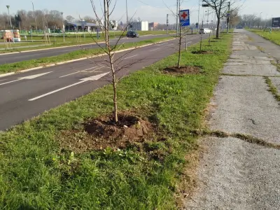 Screenshot_2025-12-10-12-52-03-003_com.whatsapp