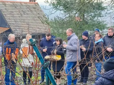 598d7608-ffd7-455f-b84d-d560cb6bd88e