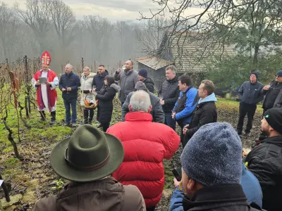 ace66358-dab9-4614-9fd0-98117ed0997d