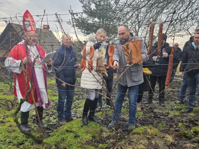 cc3d47e9-57cd-40e5-a2ac-700f0a00ecb5