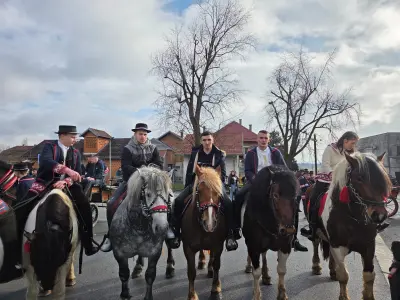 WhatsApp Image 2026-02-08 at 15.49.42