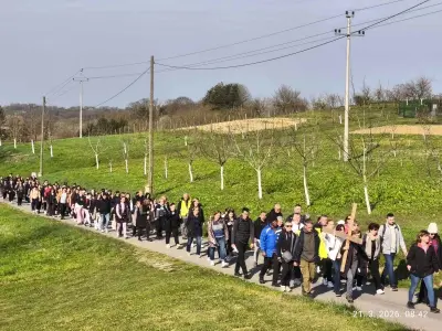 IMG-21b616735f8657077c9a3282cb0ba7da-V