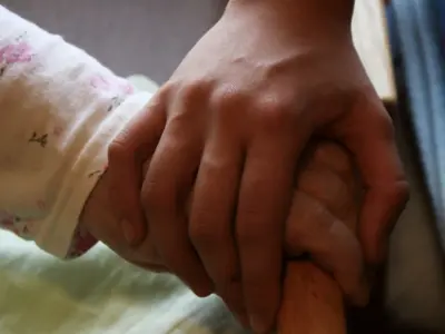 5337154e-ae22-42ef-8136-37415d60e1b6