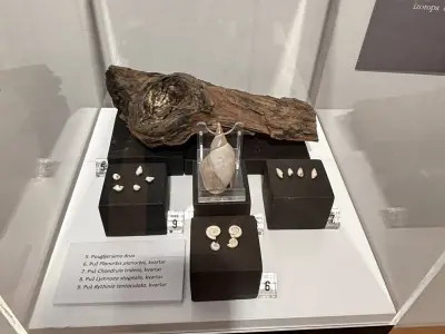 672166438_1552598876869072_413730487920008705_n