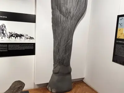 672166441_1552598673535759_3300408515082174461_n