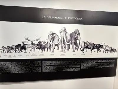 672683449_1552598823535744_9045253311516891111_n