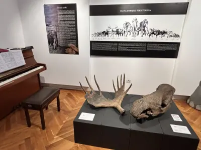 673396645_1552598573535769_6594046913117309922_n