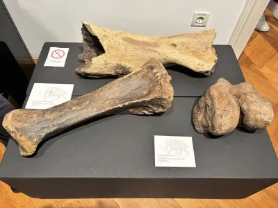 672667268_1552598766869083_6779195728738545210_n