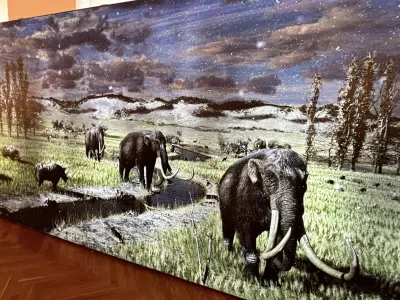 673663703_1552598446869115_1983363234379234537_n