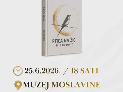 Mirko Đivić - Ptica na žici - 2026. 2
