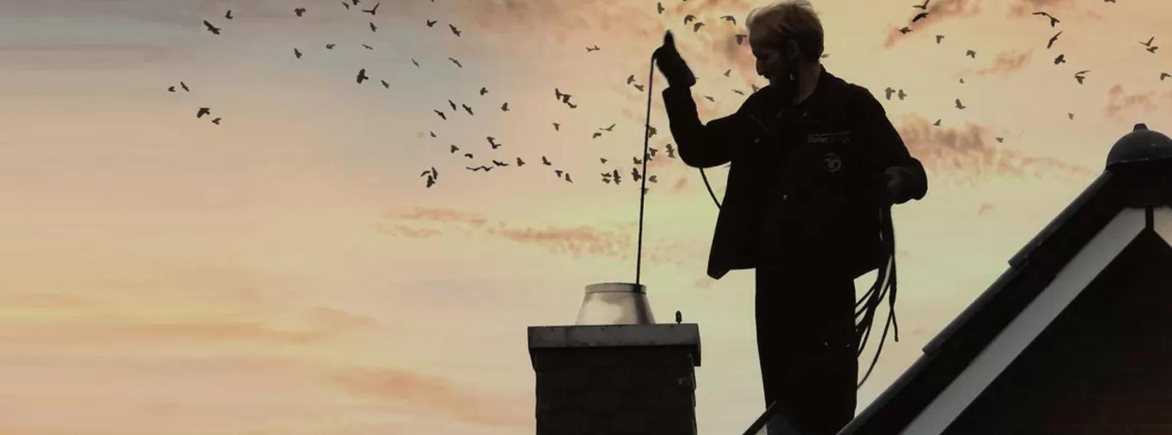 Redoviti obilazak dimnjačarske službe